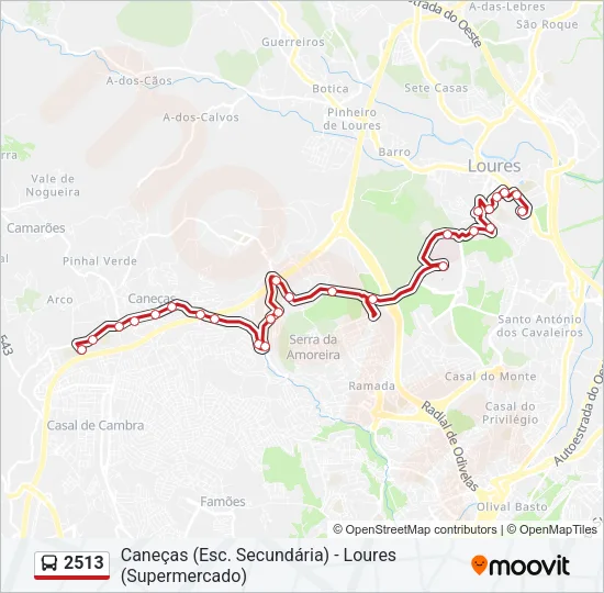 2513 Bus Line Map