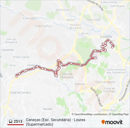 2513 Bus Line Map
