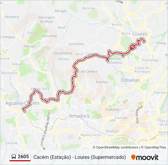 2605 Bus Line Map