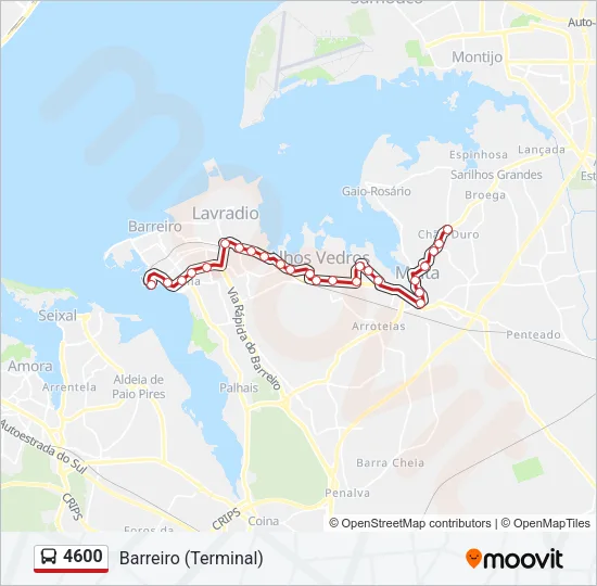 4600 Bus Line Map