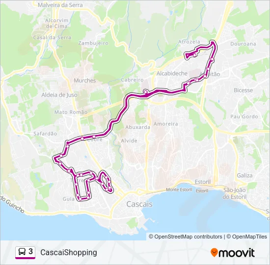 3 Bus Line Map