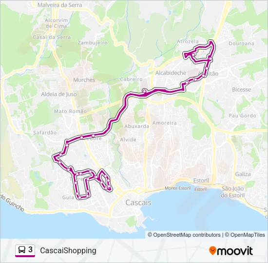 3 Bus Line Map