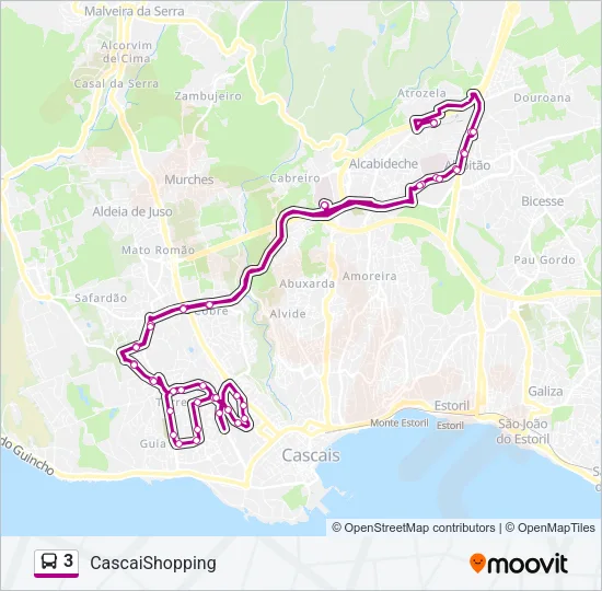 3 Bus Line Map