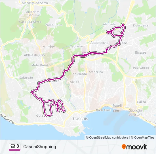 3 Bus Line Map