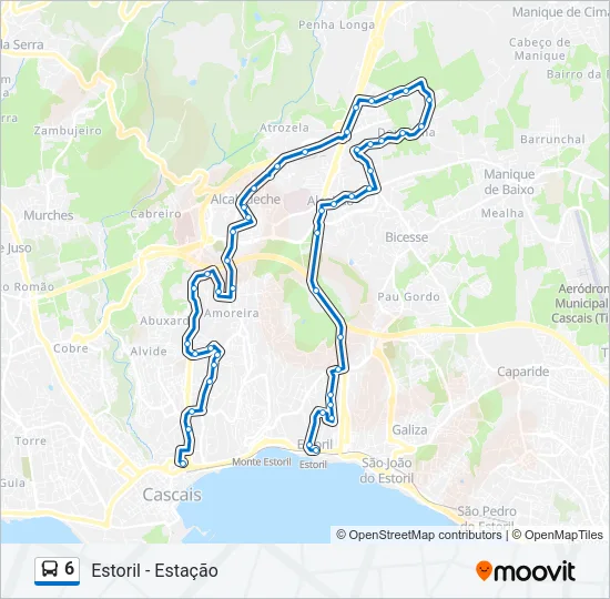 6 Bus Line Map