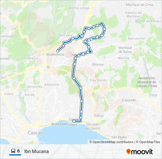 6 Bus Line Map
