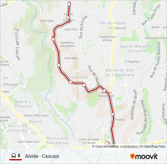 8 Bus Line Map