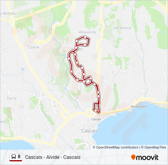 8 Bus Line Map