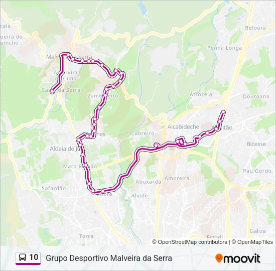10 Bus Line Map