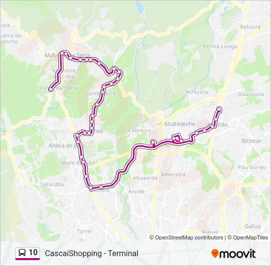 10 Bus Line Map