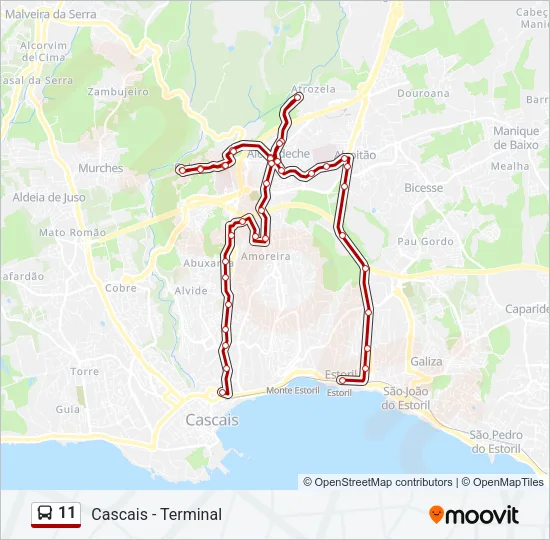 11 Bus Line Map
