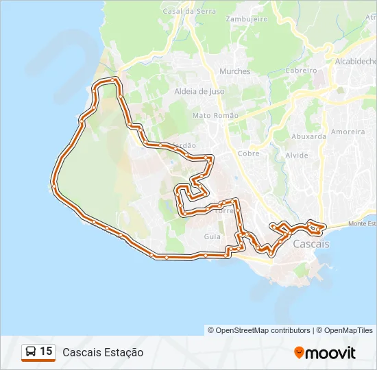 15 Bus Line Map