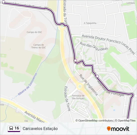 16 Bus Line Map