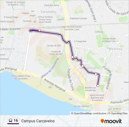 16 Bus Line Map