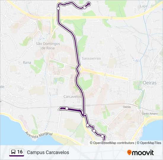 16 Bus Line Map
