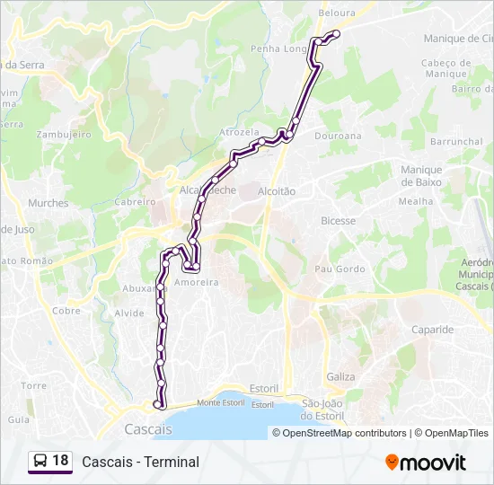 18 Bus Line Map