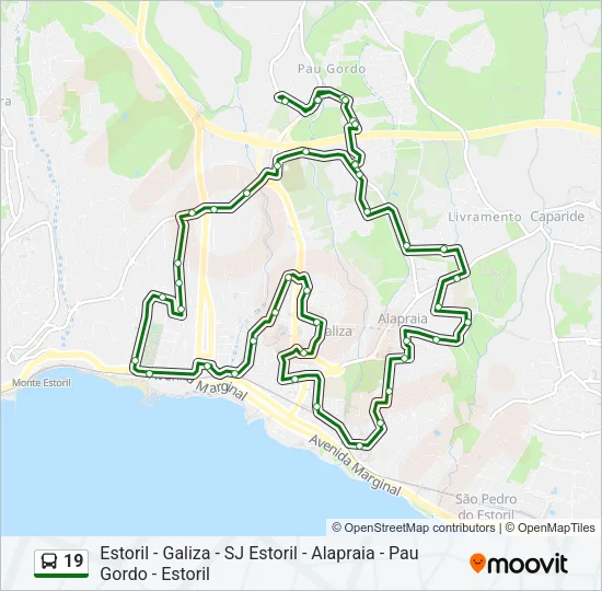 19 Bus Line Map