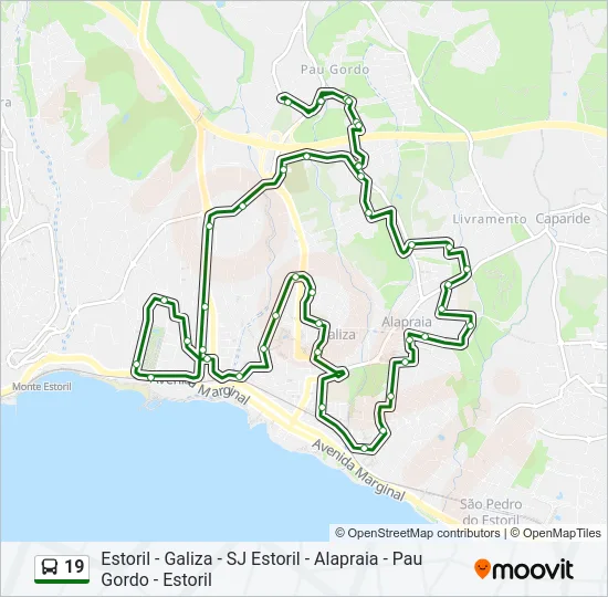 19 Bus Line Map