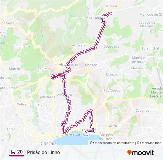 20 Bus Line Map