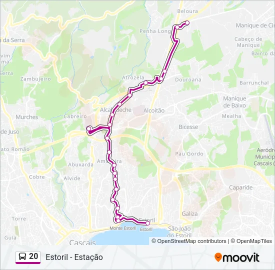 20 Bus Line Map