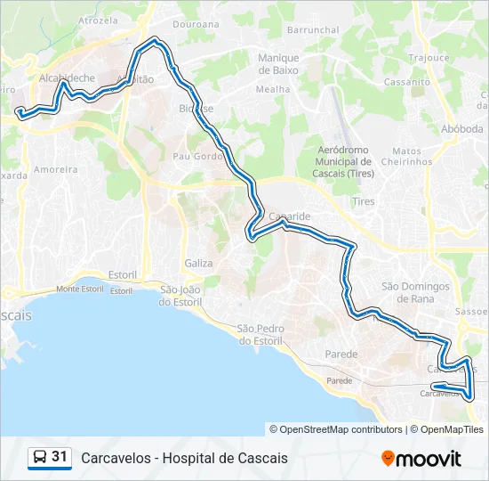 31 Bus Line Map