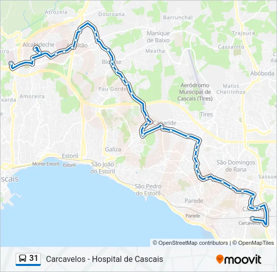 31 Bus Line Map