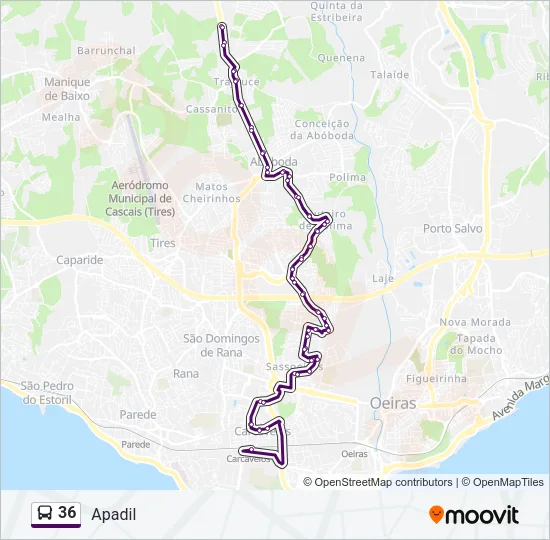 36 Bus Line Map