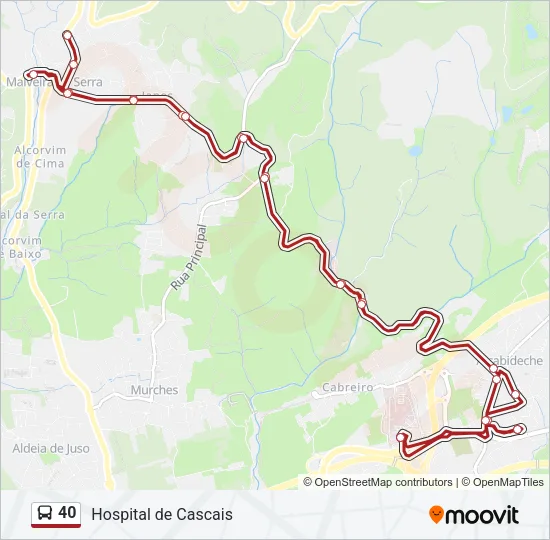 40 Bus Line Map