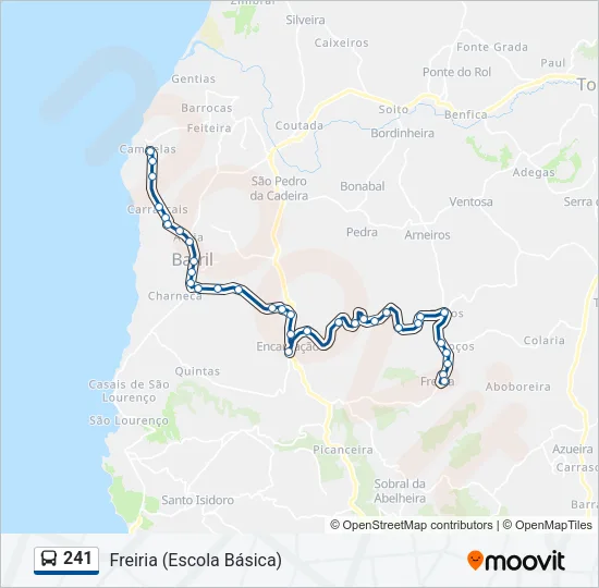 241 Bus Line Map
