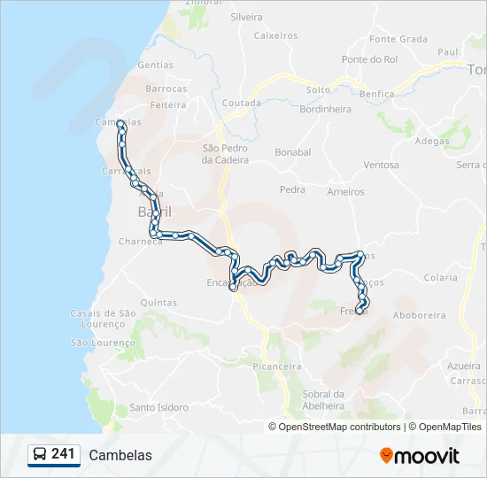 241 Bus Line Map