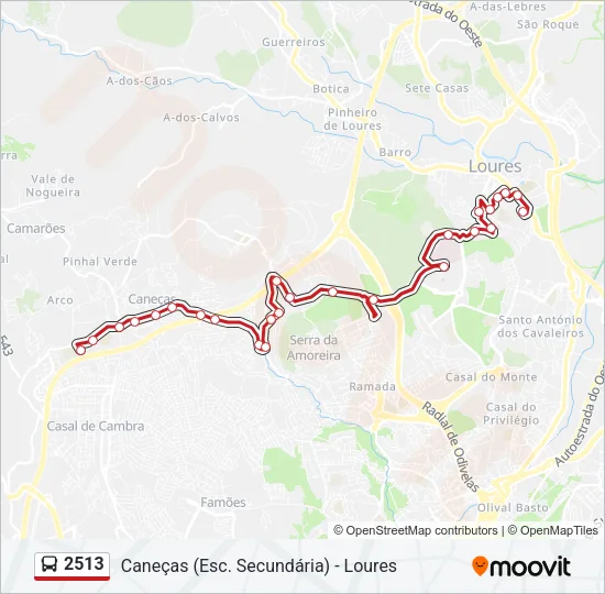 2513 Bus Line Map