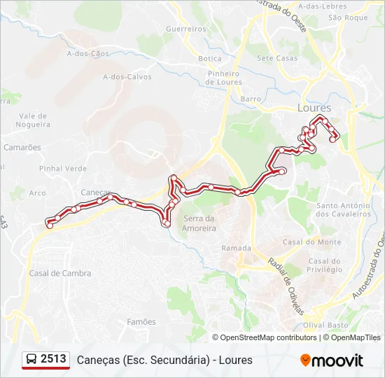2513 Bus Line Map