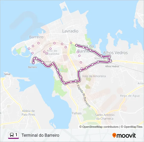 1 Bus Line Map