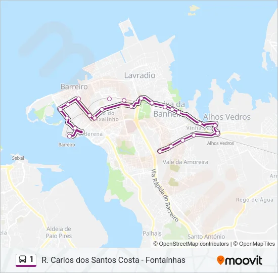 1 Bus Line Map