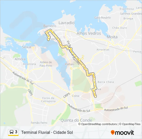 3 Bus Line Map
