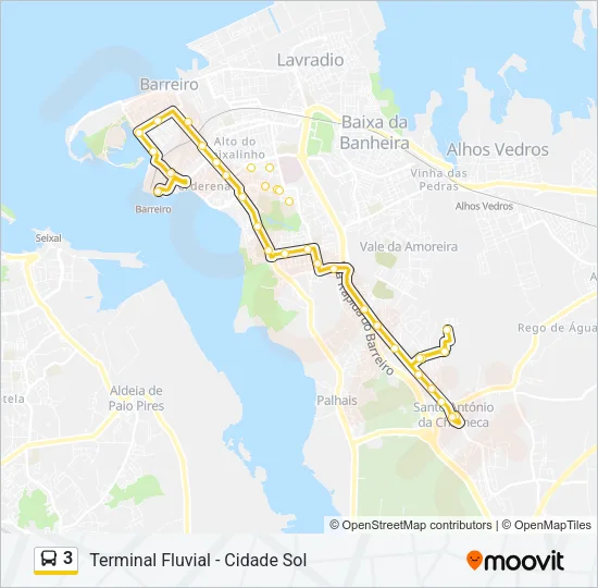 3 Bus Line Map