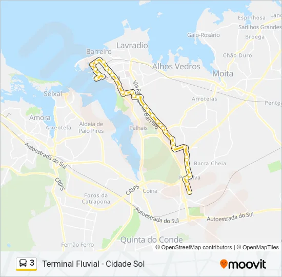 3 Bus Line Map