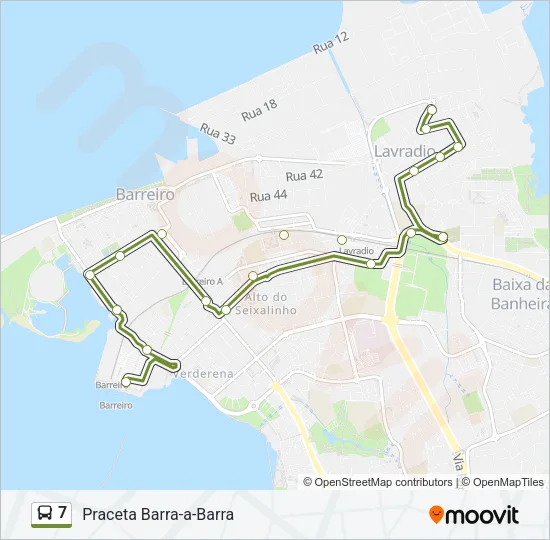 7 Bus Line Map