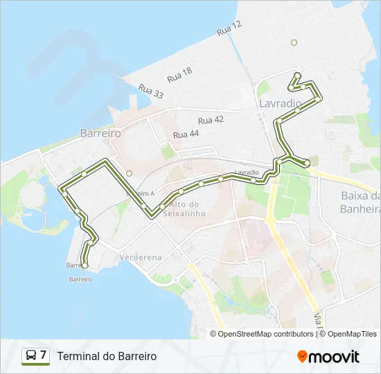7 Bus Line Map