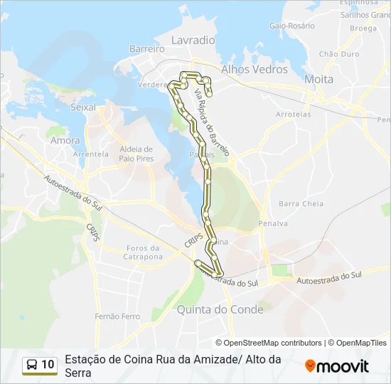 10 Bus Line Map
