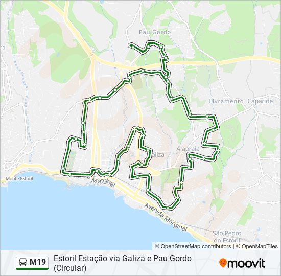 M19 bus Line Map