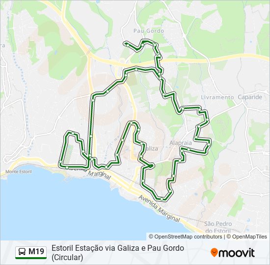 Mapa da linha do autocarro M19.