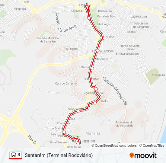 3 Bus Line Map
