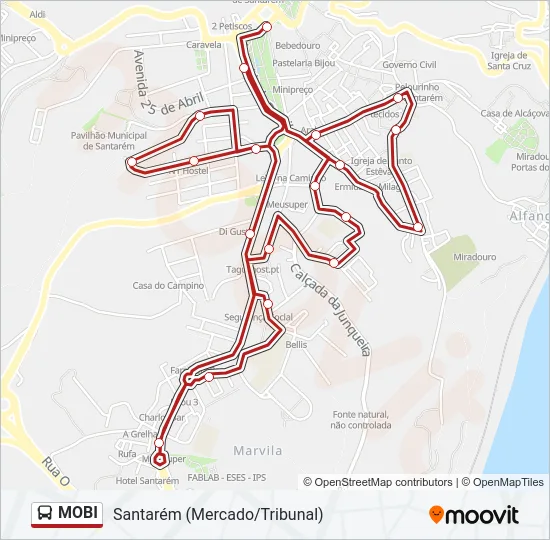 MOBI Bus Line Map