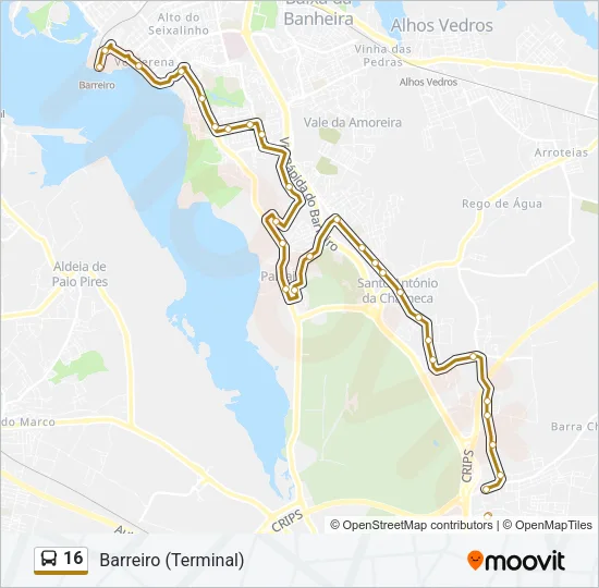 16  Line Map