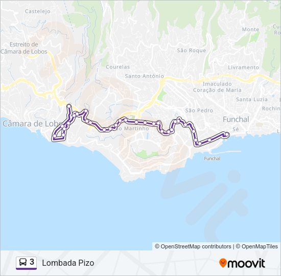 3 Bus Line Map