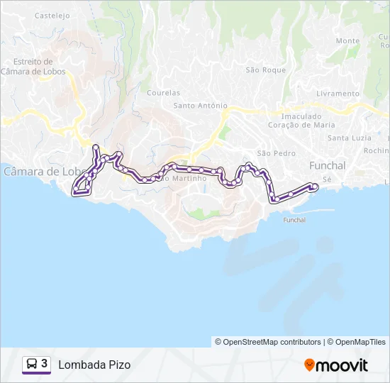 3 Bus Line Map