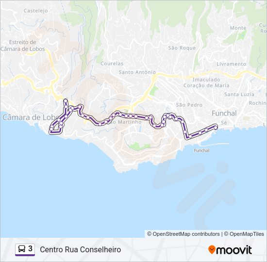 3 Bus Line Map