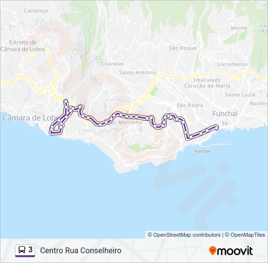 3 Bus Line Map