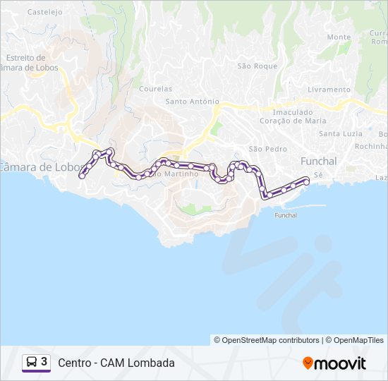 3 Bus Line Map